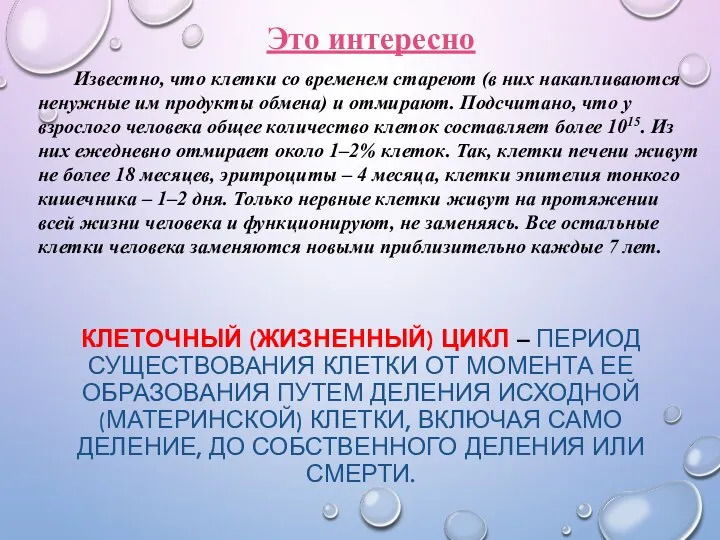 КЛЕТОЧНЫЙ (ЖИЗНЕННЫЙ) ЦИКЛ – ПЕРИОД СУЩЕСТВОВАНИЯ КЛЕТКИ ОТ МОМЕНТА ЕЕ ОБРАЗОВАНИЯ