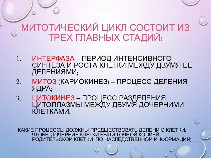 МИТОТИЧЕСКИЙ ЦИКЛ СОСТОИТ ИЗ ТРЕХ ГЛАВНЫХ СТАДИЙ: ИНТЕРФАЗА – ПЕРИОД ИНТЕНСИВНОГО