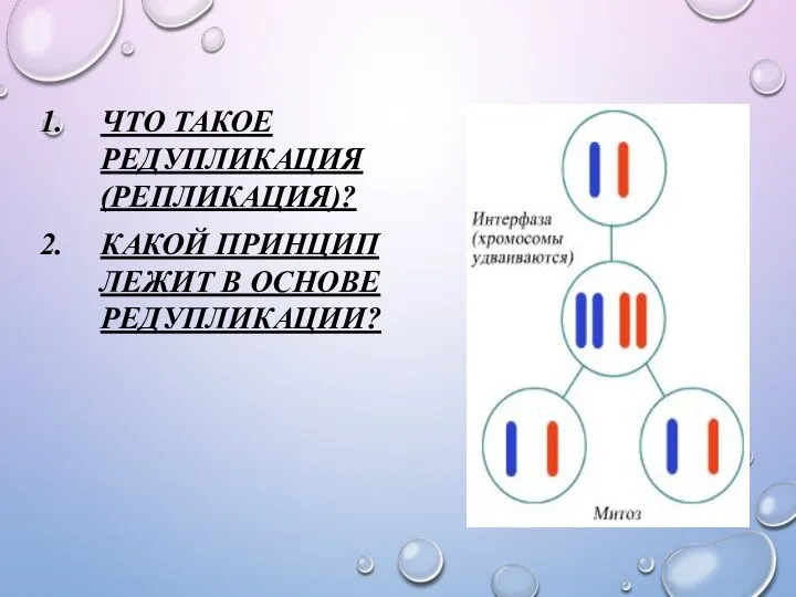 ЧТО ТАКОЕ РЕДУПЛИКАЦИЯ (РЕПЛИКАЦИЯ)? КАКОЙ ПРИНЦИП ЛЕЖИТ В ОСНОВЕ РЕДУПЛИКАЦИИ?