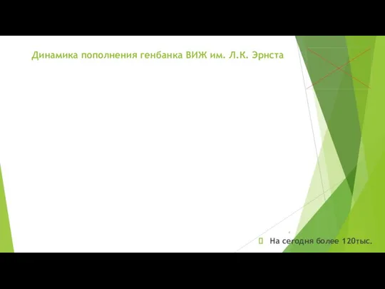 Динамика пополнения генбанка ВИЖ им. Л.К. Эрнста На сегодня более 120тыс.