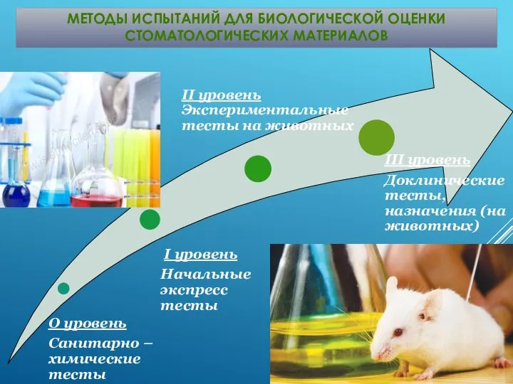 МЕТОДЫ ИСПЫТАНИЙ ДЛЯ БИОЛОГИЧЕСКОЙ ОЦЕНКИ СТОМАТОЛОГИЧЕСКИХ МАТЕРИАЛОВ