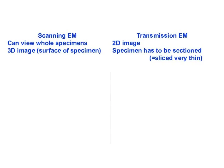 Transmission EM 2D image Specimen has to be sectioned (=sliced very