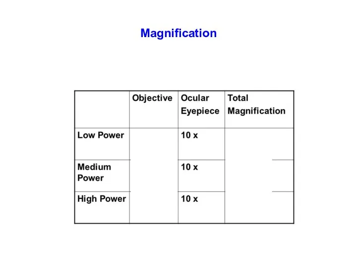 Scanning Low High Magnification