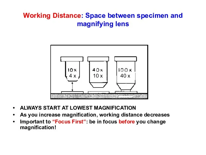 Working Distance: Space between specimen and magnifying lens ALWAYS START AT