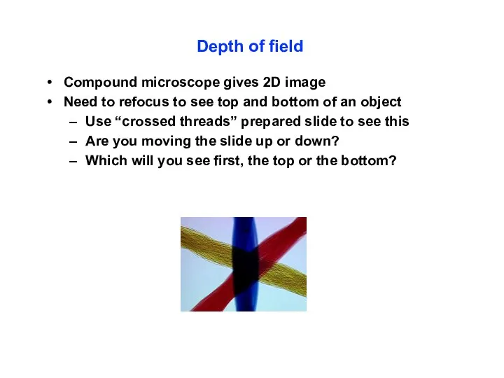 Depth of field Compound microscope gives 2D image Need to refocus