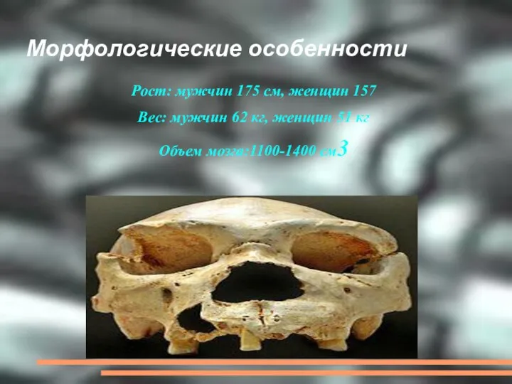 Морфологические особенности Рост: мужчин 175 см, женщин 157 Вес: мужчин 62