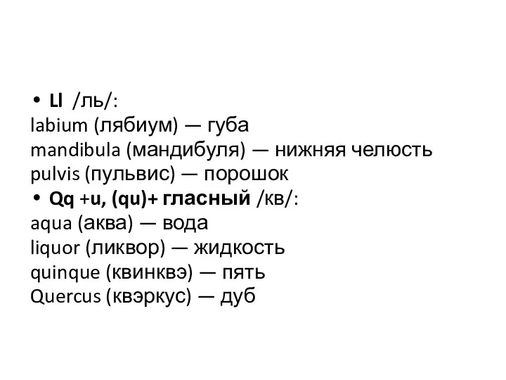 Ll /ль/: labium (лябиум) — губа mandibula (мандибуля) — нижняя челюсть