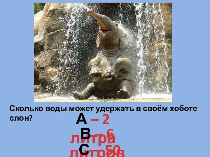 Сколько воды может удержать в своём хоботе слон? А – 2