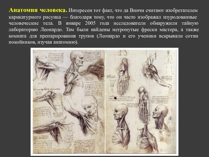 Анатомия человека. Интересен тот факт, что да Винчи считают изобретателем карикатурного