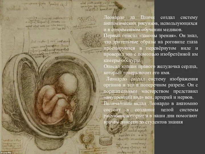 Леонардо да Винчи создал систему анатомических рисунков, использующихся и в современном