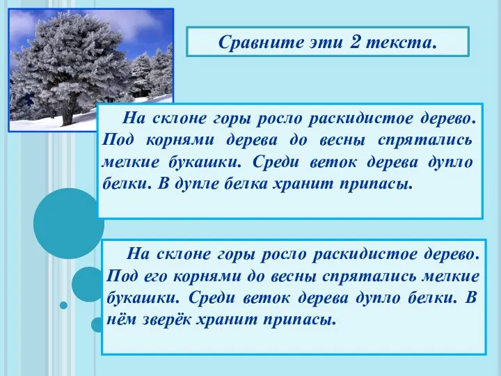 На склоне горы росло раскидистое дерево. Под корнями дерева до весны