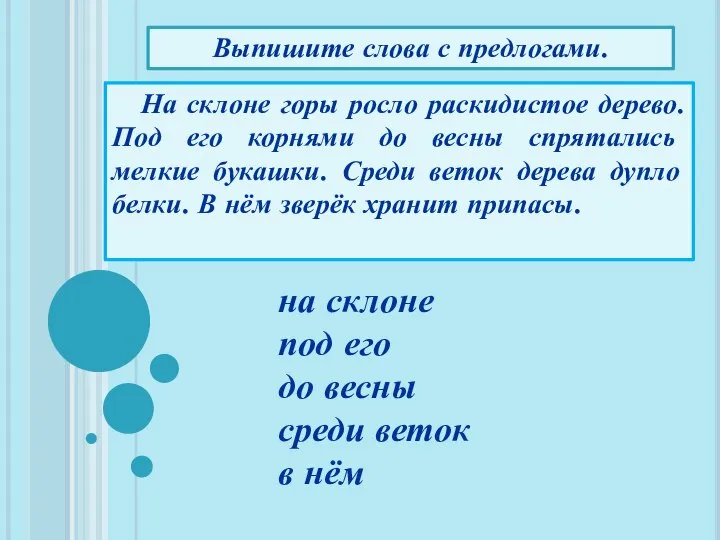 На склоне горы росло раскидистое дерево. Под его корнями до весны