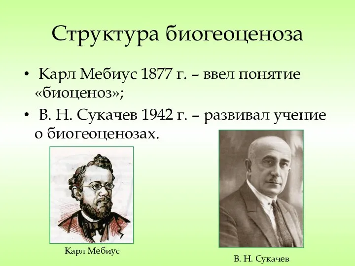 Структура биогеоценоза Карл Мебиус 1877 г. – ввел понятие «биоценоз»; В.