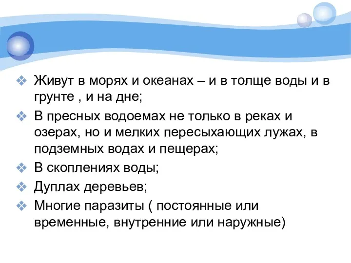 Живут в морях и океанах – и в толще воды и