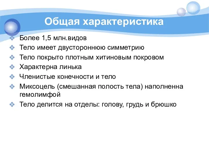 Общая характеристика Более 1,5 млн.видов Тело имеет двустороннюю симметрию Тело покрыто