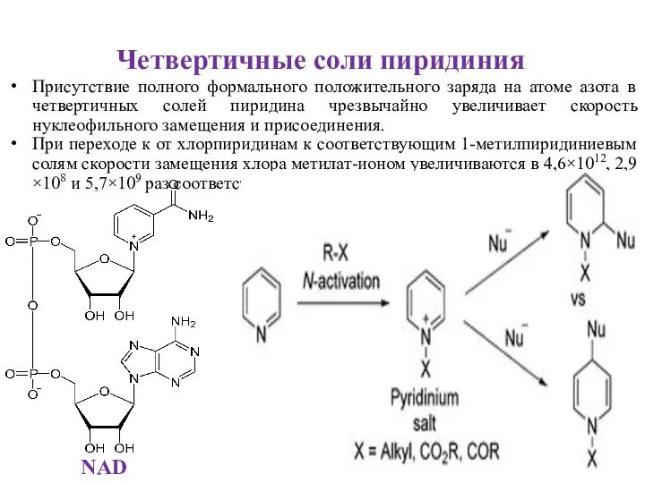 Четвертичные соли пиридиния Присутствие полного формального положительного заряда на атоме азота