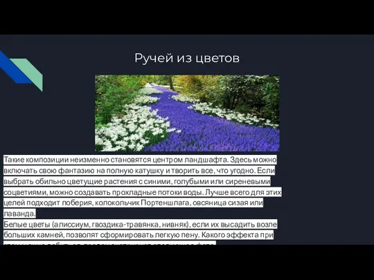 Ручей из цветов Такие композиции неизменно становятся центром ландшафта. Здесь можно