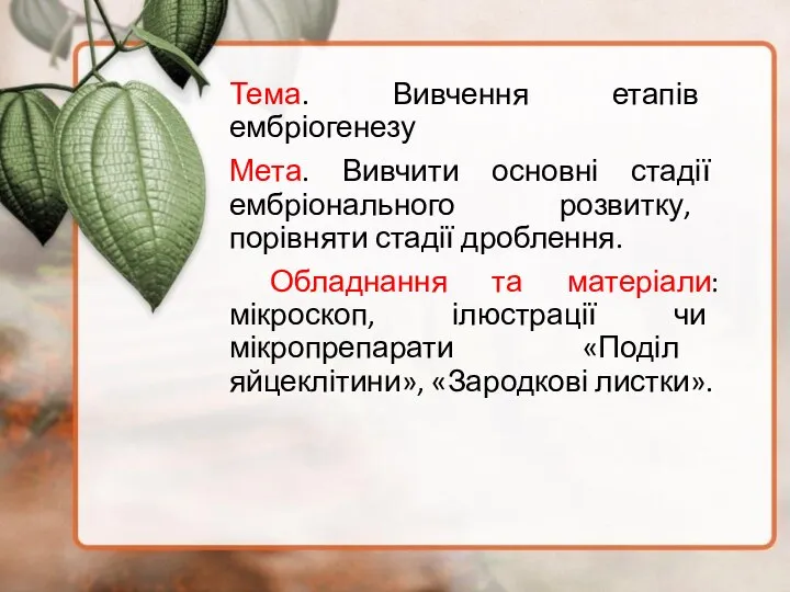 Тема. Вивчення етапів ембріогенезу Мета. Вивчити основні стадії ембріонального розвитку, порівняти