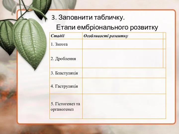 3. Заповнити табличку. Етапи ембріонального розвитку