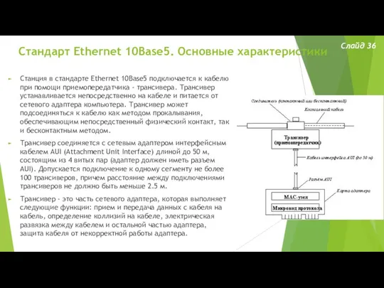 Стандарт Ethernet 10Base5. Основные характеристики Слайд 36 Станция в стандарте Ethernet