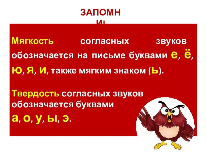 На прошлом уроке мы повторили как обозначается мягкость и твёрдость согласных