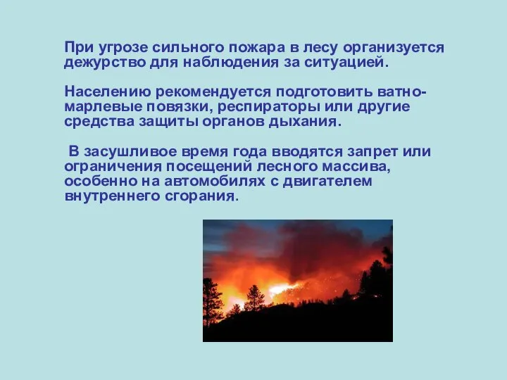 При угрозе сильного пожара в лесу организуется дежурство для наблюдения за