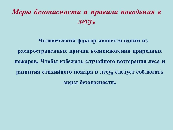 Меры безопасности и правила поведения в лесу. Человеческий фактор является одним