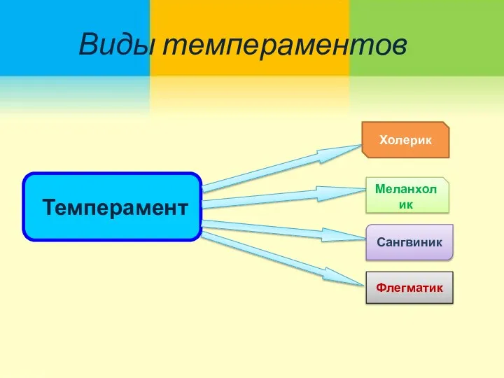 Виды темпераментов Темперамент Холерик Меланхолик Сангвиник Флегматик