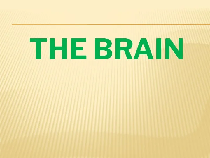 THE BRAIN