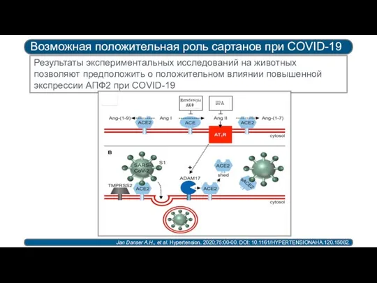 Возможная положительная роль сартанов при COVID-19 Jan Danser A.H., et al.