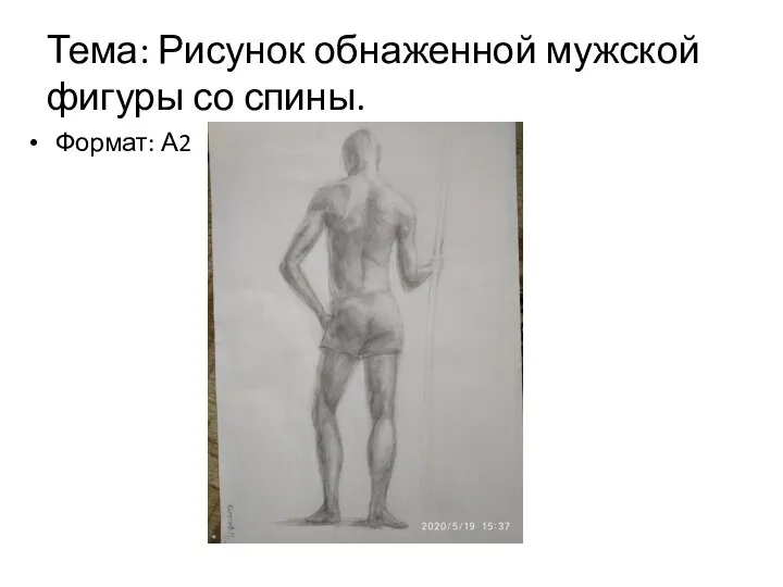 Тема: Рисунок обнаженной мужской фигуры со спины. Формат: А2