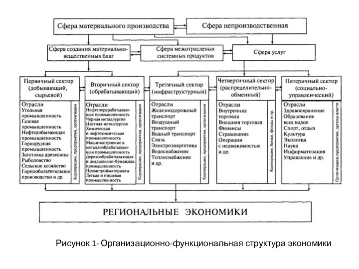 Рисунок 1- Организационно-функциональная структура экономики