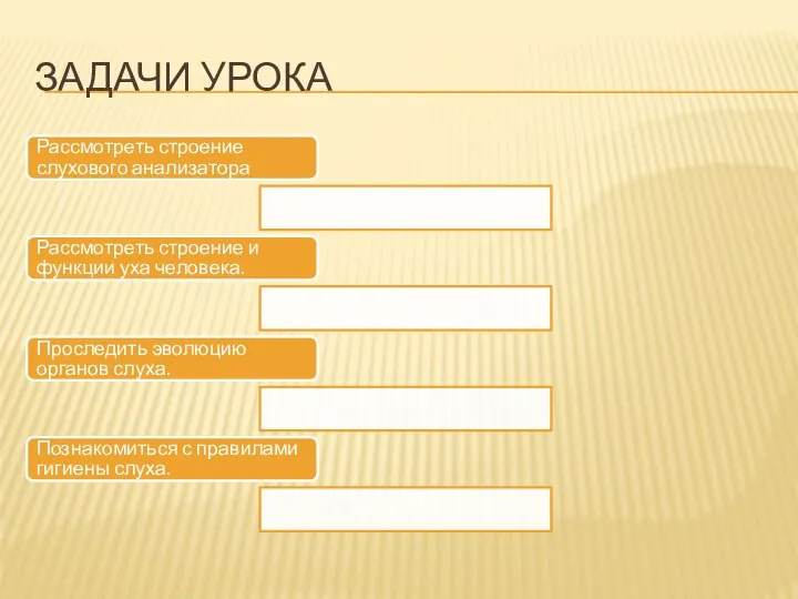 ЗАДАЧИ УРОКА Рассмотреть строение слухового анализатора Рассмотреть строение и функции уха