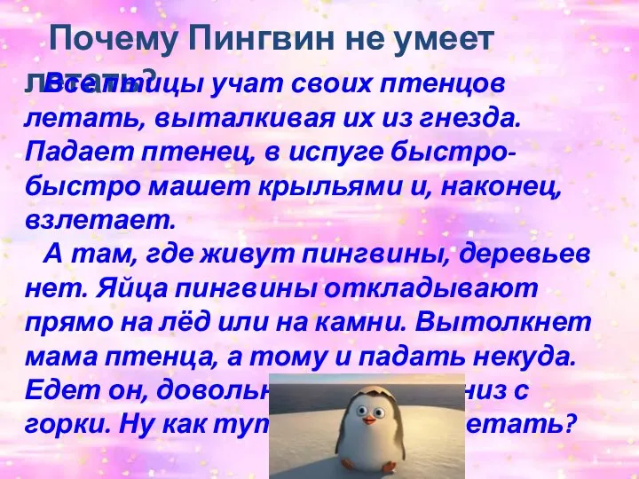 Почему Пингвин не умеет летать? Все птицы учат своих птенцов летать,