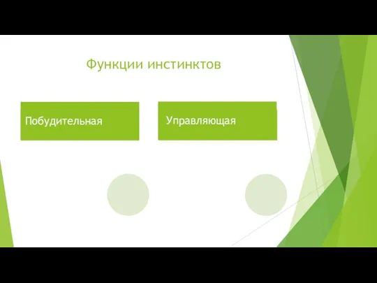 Функции инстинктов