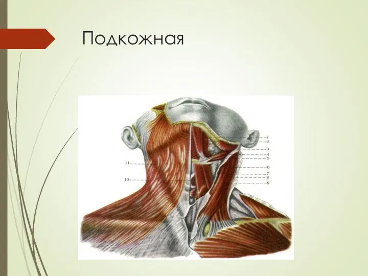 Подкожная