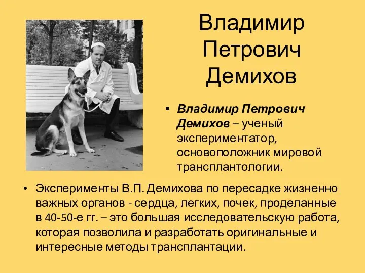 Владимир Петрович Демихов Эксперименты В.П. Демихова по пересадке жизненно важных органов