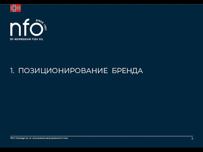 1. ПОЗИЦИОНИРОВАНИЕ БРЕНДА 3NFO. Руководство по использованию фирменного стиля NFO. Руководство по использованию фирменного стиля 3