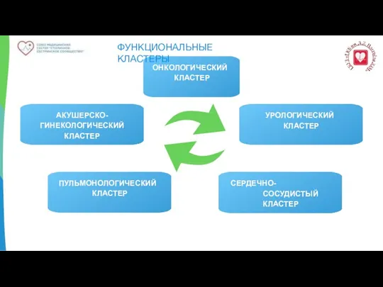 ОНКОЛОГИЧЕСКИЙ КЛАСТЕР ФУНКЦИОНАЛЬНЫЕ КЛАСТЕРЫ АКУШЕРСКО- ГИНЕКОЛОГИЧЕСКИЙ КЛАСТЕР ПУЛЬМОНОЛОГИЧЕСКИЙ КЛАСТЕР УРОЛОГИЧЕСКИЙ КЛАСТЕР СЕРДЕЧНО-СОСУДИСТЫЙ КЛАСТЕР