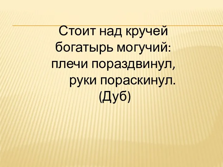 Стоит над кручей богатырь могучий: плечи пораздвинул, руки пораскинул. (Дуб)