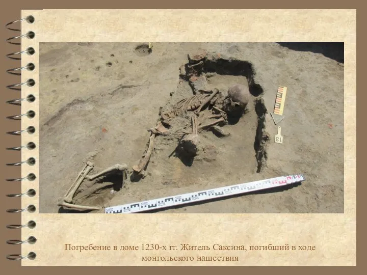 Погребение в доме 1230-х гг. Житель Саксина, погибший в ходе монгольского нашествия