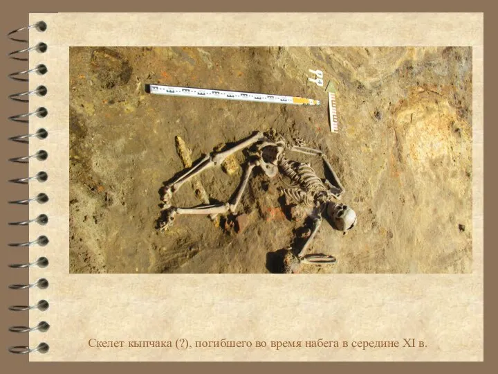 Скелет кыпчака (?), погибшего во время набега в середине XI в.