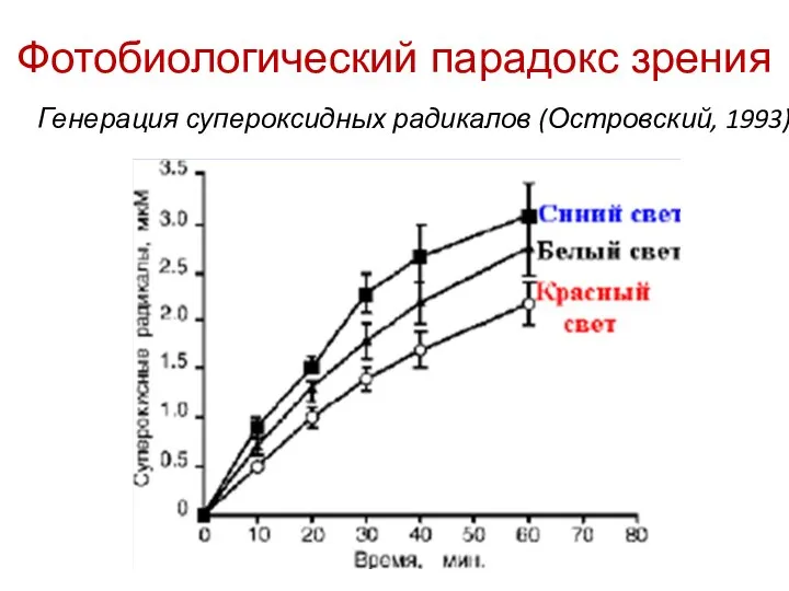 Фотобиологический парадокс зрения Генерация супероксидных радикалов (Островский, 1993)