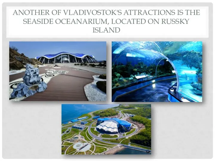 ANOTHER OF VLADIVOSTOK'S ATTRACTIONS IS THE SEASIDE OCEANARIUM, LOCATED ON RUSSKY ISLAND