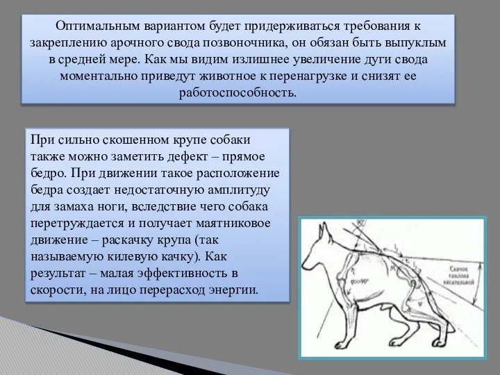 Оптимальным вариантом будет придерживаться требования к закреплению арочного свода позвоночника, он