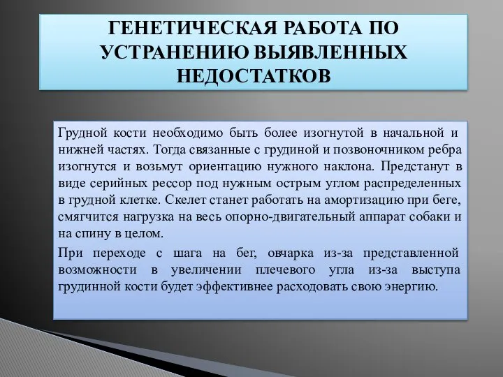 ГЕНЕТИЧЕСКАЯ РАБОТА ПО УСТРАНЕНИЮ ВЫЯВЛЕННЫХ НЕДОСТАТКОВ Грудной кости необходимо быть более