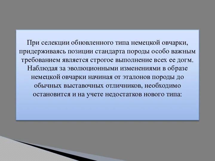 При селекции обновленного типа немецкой овчарки, придерживаясь позиции стандарта породы особо