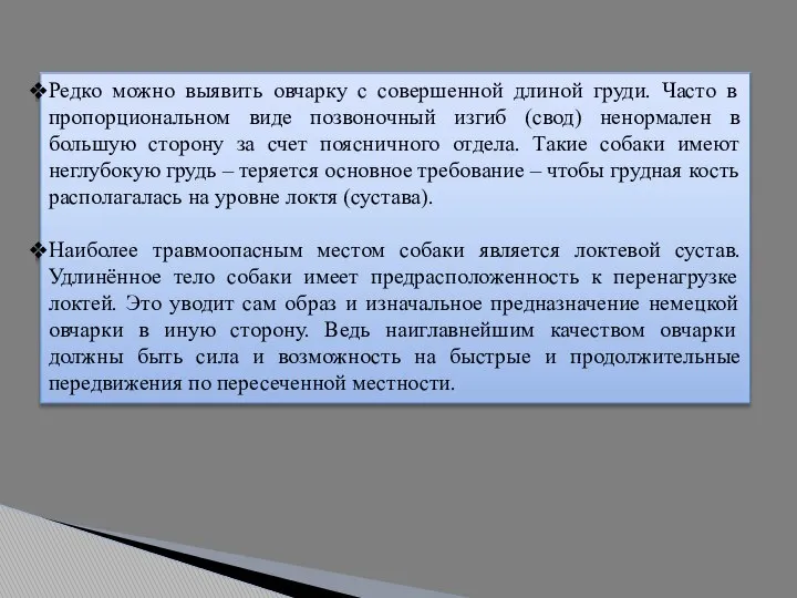 Редко можно выявить овчарку с совершенной длиной груди. Часто в пропорциональном