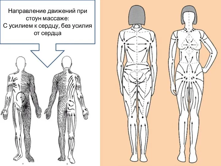 Направление движений при стоун массаже: С усилием к сердцу, без усилия от сердца