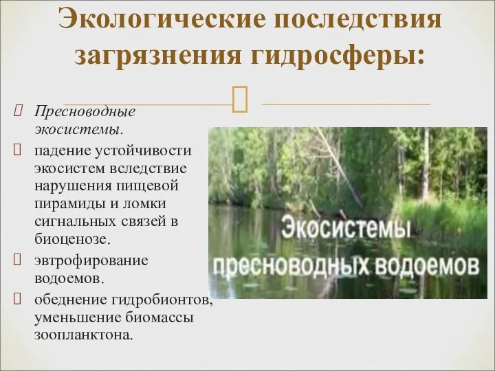 Пресноводные экосистемы. падение устойчивости экосистем вследствие нарушения пищевой пирамиды и ломки